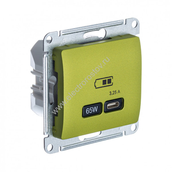 Glossa Фисташковый Розетка USB C, 65Вт; 5-20В/3,25А Schneider Electric