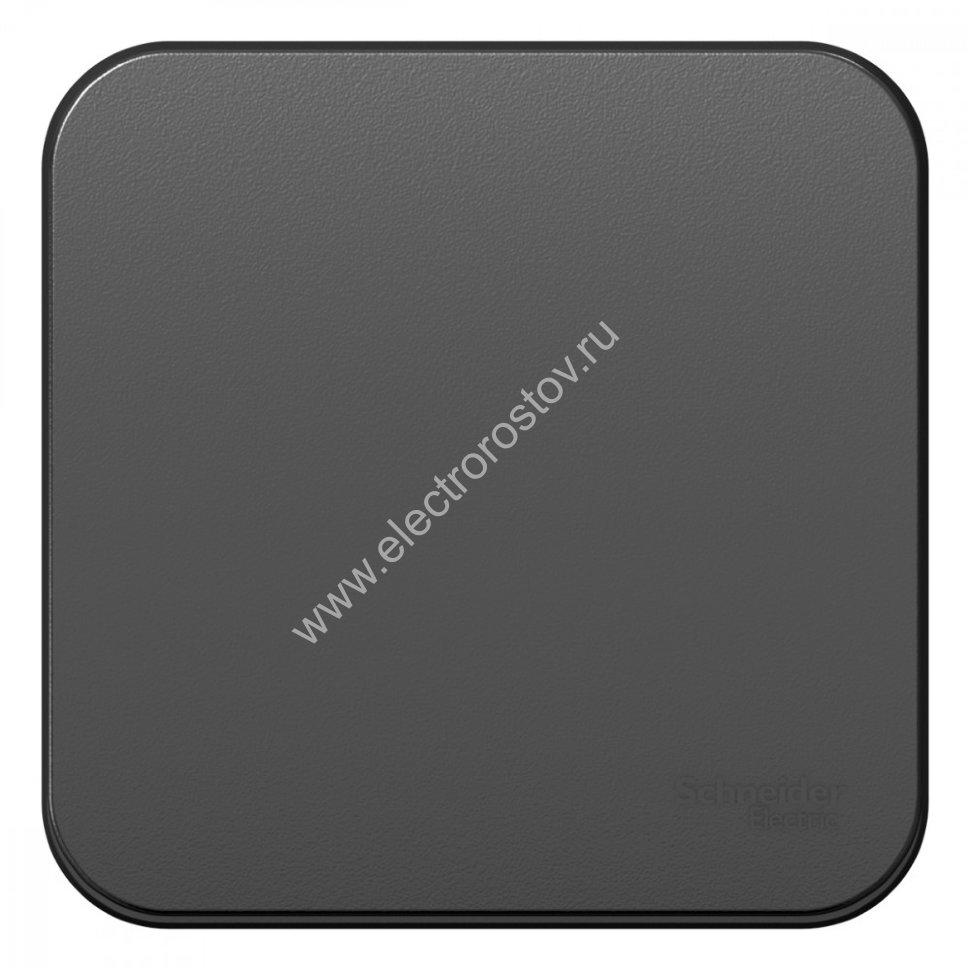 Blanca наруж Антрацит Выключатель 1-клавишный 10А, 250B, изолир. пластина Schneider Electric
