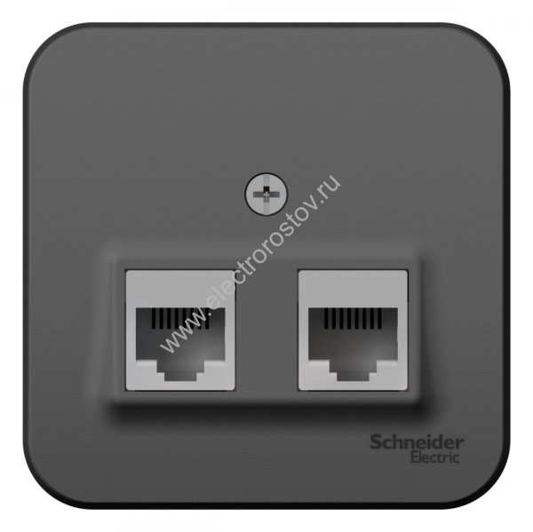 Blanca наруж Антрацит Розетка 2-ая компьютерная RJ45, кат.5E, изол. пластина Schneider Electric