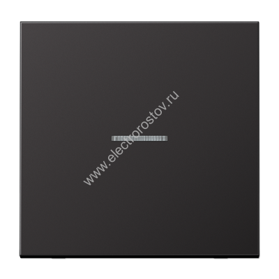 LS 990 Алюминий темный Клавиша 1-ая с подсветкой JUNG
