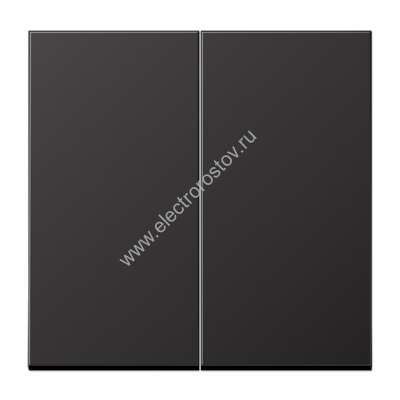 LS 990 Алюминий темный Клавиша 2-ая JUNG