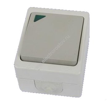 Вуокса Выключатель 1-клавишный с подсветкой IP54 TDM