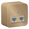 Blanca наруж Титан Розетка 2-ая компьютерная RJ45, кат.5E, изол. пластина Schneider Electric