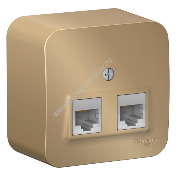 Blanca наруж Титан Розетка 2-ая компьютерная RJ45, кат.5E, изол. пластина Schneider Electric