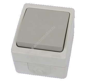 Вуокса Переключатель 1-клавишный IP54 TDM
