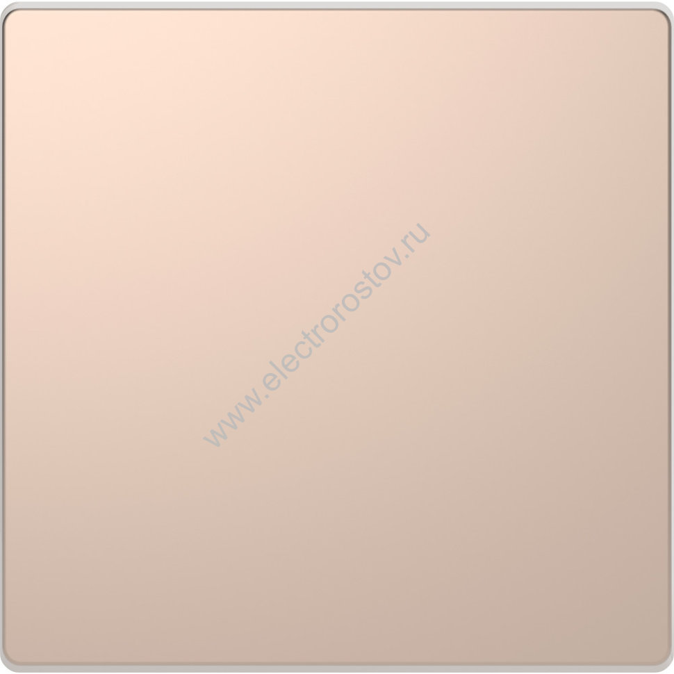 Schneider Electric Merten D-Life Шампань Заглушка