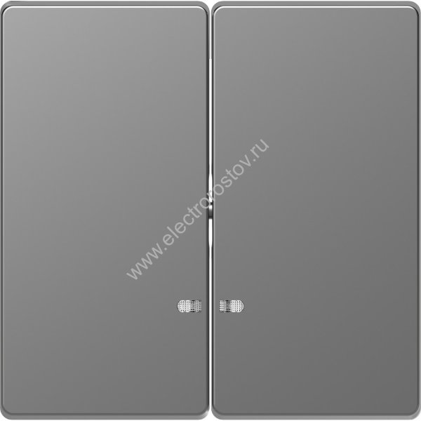 Schneider Electric Merten D-Life Нержавеющая Сталь Клавиша 2-ная с линзой для LED модуля