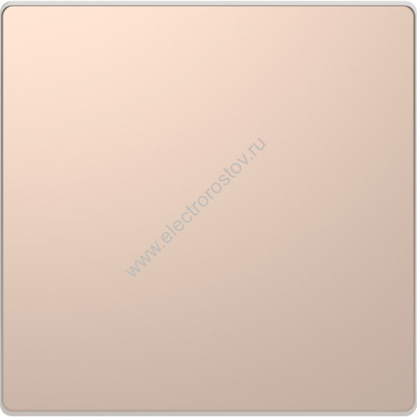 Schneider Electric Merten D-Life Шампань Клавиша 1-ая