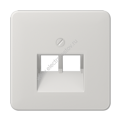 CD 500 Светло-серый Накладка 2-ой наклонной ТЛФ/комп розетки JUNG
