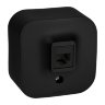 Quteo Чёрный матовый Розетка RJ45 Legrand