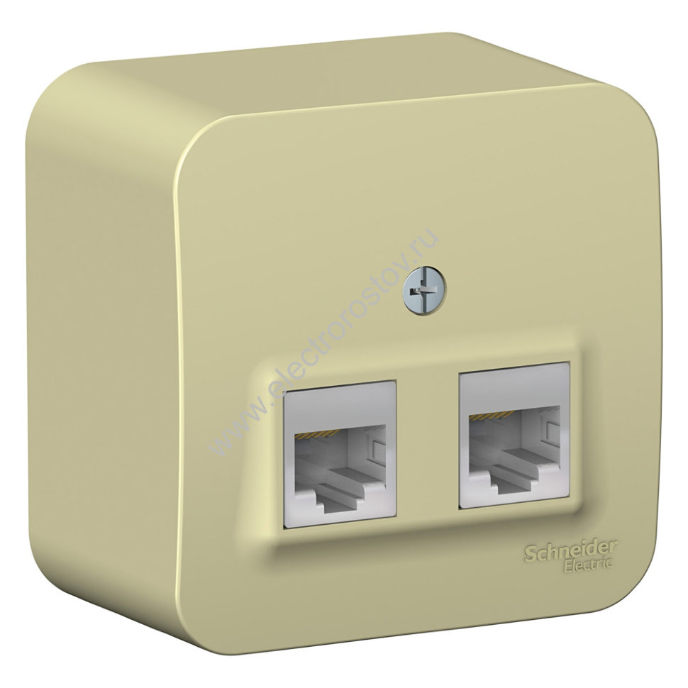 Blanca наруж Бежевый Розетка 2-ая компьютерная RJ45, кат.5E, изолир. пластина Schneider Electric
