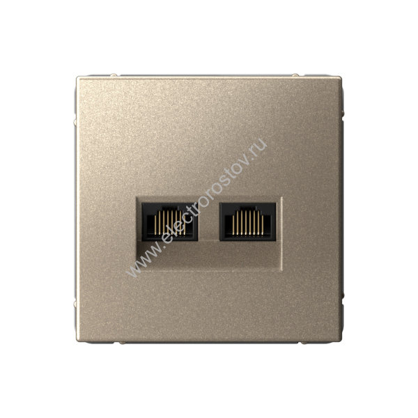 Systeme Electric ArtGallery Шампань Розетка двойная компьютерная RJ45+RJ45, кат.6А, механизм