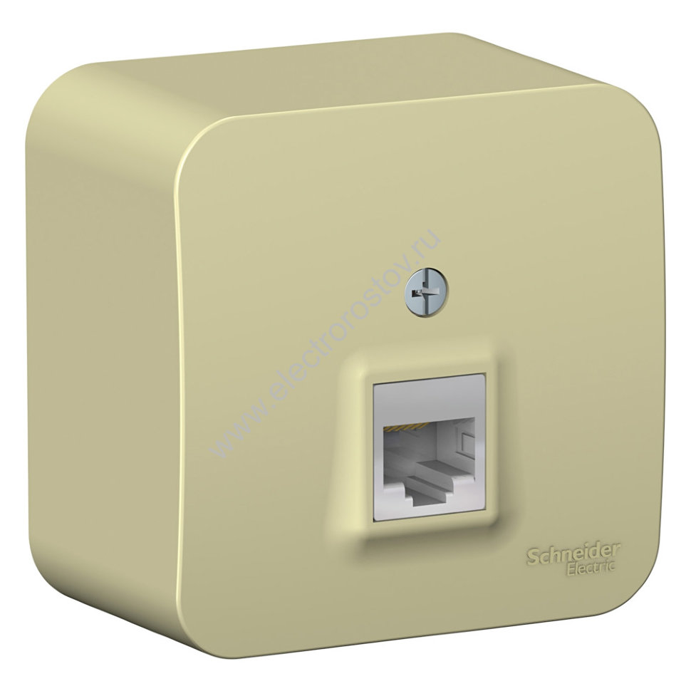 Blanca наруж Бежевый Розетка компьютерная RJ45, кат.5E, изолир. пластина Schneider Electric