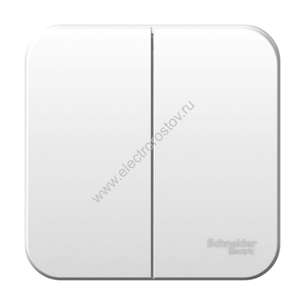 Blanca наруж Белый Выключатель 2-клавишный 6А, 250B, изолир. пластина Schneider Electric
