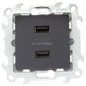 Simon 24 Графит Розетка 2хUSB 2,4A Simon